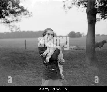 Agnello Dorset con Miss Haken . 1934 Foto Stock