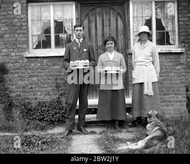 Lady Angela Forbes presso la sua fattoria Silver Badge per i soldati disabili a Brentwood , Essex . 27 giugno 1919 Foto Stock