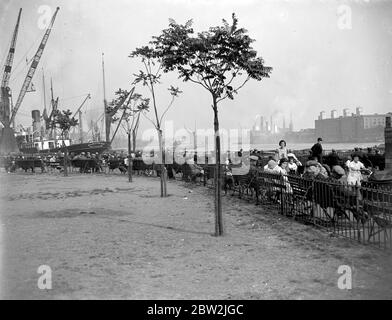 Fiume Tamigi a Wapping Park, Londra. 1933 Foto Stock