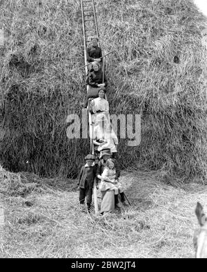 Donne assistere un contadino Norfolk con gli Hays. 1914-1918 Foto Stock