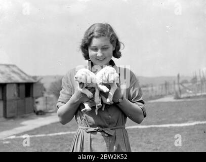 La ragazza tiene i cuccioli dalmati. 1934 Foto Stock