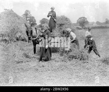 Donne assistere un contadino Norfolk con gli Hays. 1914-1918 Foto Stock