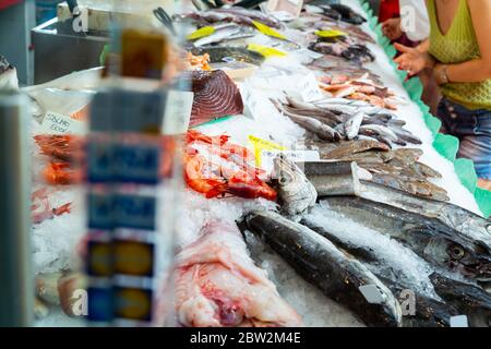 Vista di un grande assortimento di pesce fresco su una vetrina ghiacciata del negozio di pesce Foto Stock