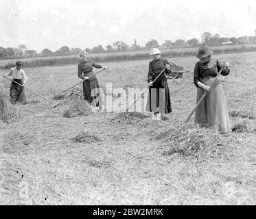 Donne assistere un contadino Norfolk con gli Hays. 1914-1918 Foto Stock