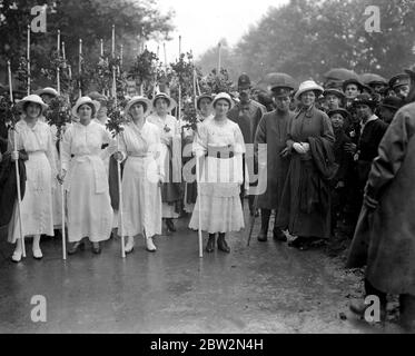 Marcia delle donne attraverso le ragazze di Londra con i truffatori con le rose rosse. 1914-1918 Foto Stock