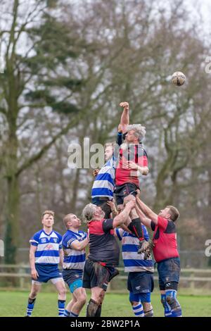 I giocatori di lineout saltano in aria, ma la palla passa sopra tutti. Partita di rugby delle contee orientali a Lowestoft Foto Stock