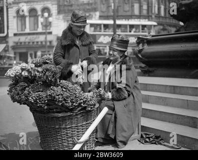 Piccadilly fiore ragazze per partecipare alla palla di fiori della società . Polly e nell , che hanno venduto i loro fiori sotto la statua di Eros a Piccadilly Circus , Londra , per anni , saranno gli ospiti di centinaia di persone della società ben conosciute che frequentano la Flower Ball . Saranno accolti da Lady Carisbrooke , figlia - in - legge della principessa Beatrice e una Eros in miniatura sarà eretto nella sala da ballo per farli sentire ' a casa '. Polly e nell si dice siano le ragazze di fiori più famose del mondo . Polly Beecham ( seduto ) e nell ( Lizzie Sanger ) , fotografati sotto Eros a Piccadil Foto Stock