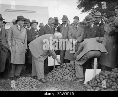 Il signor David Lloyd George , ex Premier in tempo di guerra e ora agricoltore gentiluomo , ha mostrato di fare un po' della sua coltura di patate nella sua fattoria a Churt , Surrey . 4 ottobre 1934 Foto Stock