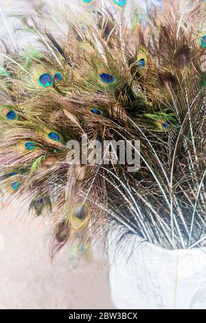 Collezione di pelli di pavone Foto Stock