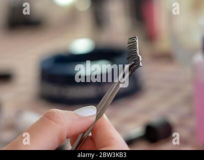 Un unico set di ciglia con colla isolata a fuoco. Essere tenuto in mano con le pinzette prima di essere messo su come procedura di make up Foto Stock