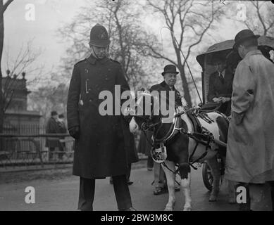 Lunedì di Pasqua van Horse Paradein Parco del Reggente . La parata del lunedì di Pasqua organizzata dalla London Van Horse Parade Society si è tenuta nel Circolo interno , Regent ; s Park . Questa è stata la mostra annuale 28 . Foto spettacoli , Lieutebebebett Colonnello Sir Percy Laurie giudicare una voce . 13 aprile 1936 Foto Stock