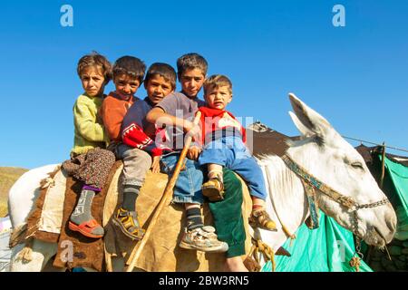 Türkei, Provinz Bingöl, Hochweide in den Serafettin-Bergen östlich des Provinzstädchen Karliova, Kinder vom Stamm der Beritan-Nomaden reiten au Foto Stock