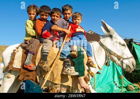 Türkei, Provinz Bingöl, Hochweide in den Serafettin-Bergen östlich des Provinzstädchen Karliova, Kinder vom Stamm der Beritan-Nomaden reiten au Foto Stock