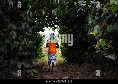 Africa, Africa occidentale, Togo, Kpalime. Un uomo sta camminando attraverso la giungla. Foto Stock