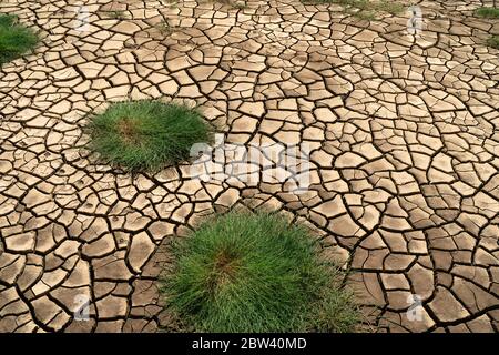 Fiume asciutto del fiume Hull a bassa marea con i ciuffi di erba dopo le condizioni climatiche di siccità in Hull, Yorkshire, Regno Unito. Foto Stock