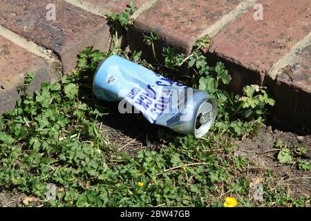 Gettato Frosty Jacks Cider in una lattina su pavimento, lettering, spazzatura Foto Stock