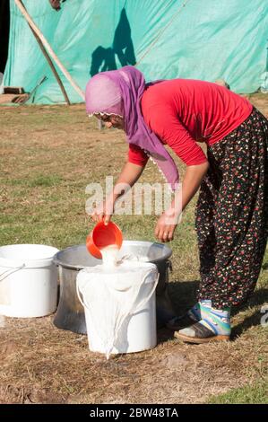 Türkei, Provinz Bingöl, Frau vom Stamm der Beritan-Nomaden bei der Herstellung von Schafskäse und Handel mit und Handel mit und Handel mit und Handel Foto Stock