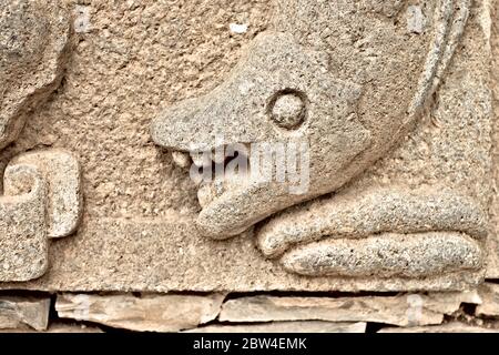 Immagine in rilievo del dettaglio del mostro marino in pietra. Foto Stock