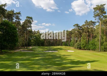 Herkenbosch, Paesi Bassi - 27 maggio 2020: Foro 5 del Golf & Country Club De Herkenbosche Foto Stock