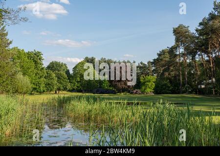 Herkenbosch, Paesi Bassi - 27 maggio 2020: Foro 13 del Golf & Country Club De Herkenbosche Foto Stock