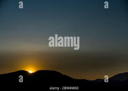 Germania, belle stelle in movimento e luna su alberi di foresta nera silhouette albero solitario in notte buia Foto Stock