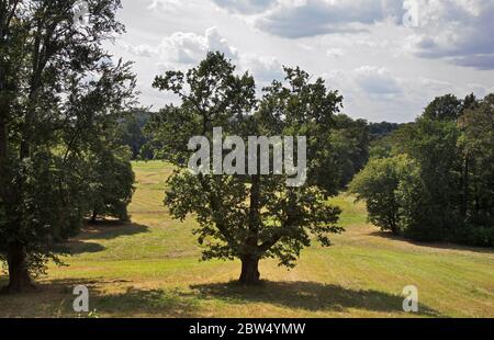 Parco Muzakowski (Parco von Muskau) vicino a Leknica. Patrimonio dell'umanità dell'UNESCO. Polonia Foto Stock