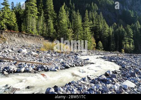 Le acque bianche scendendo sul fiume Bianco sulla strada per il Monte Rainier Foto Stock
