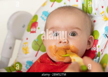 Madre che alimenta affamato sei mesi bambino divertente con cibo solido. Foto Stock