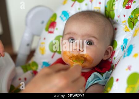 Madre che alimenta affamato sei mesi bambino divertente con cibo solido. Foto Stock