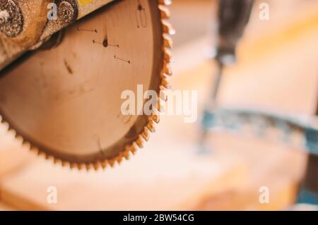 Primo piano di una macchina professionale per il taglio di tavole di legno in segheria. Lama metallica affilata di sega circolare elettrica nella produzione di mobili in legno Foto Stock
