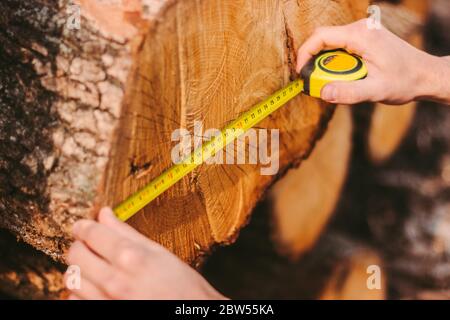 Closeup di uomo falegname controllo dimensione di tronco di albero con nastro di misura alla fabbrica di segheria. Taglialegno o forestere maschio con nastro di misurazione per la misurazione Foto Stock