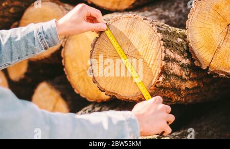 Closeup gestione magazzino produzione legno controllo dimensioni tronchi albero taglio con nastro di misura. Uomo carpentiere con metro a nastro per misurare il legno tritato Foto Stock