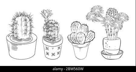 Schizzo di cactus in pentole per colorare libri. Disegno digitale bianco nero di succulenti su sfondo bianco isolato. Foto Stock