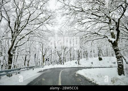 Road montagne attraversa la neve boschiva coperta di monti Nebrodi in Sicilia paesaggio naturale simbolo Foto Stock