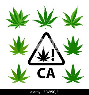 Set di foglie di marijuana in stili diversi. Illustrazione Vettoriale