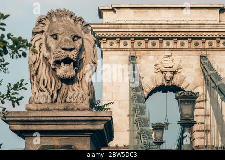 Il Ponte delle catene sul Danubio a Budapest, Ungheria Foto Stock