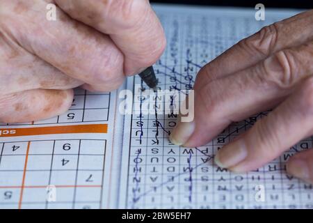 Donna anziana che fa crossword puzzle per mantenere mentalmente attivo. Foto Stock