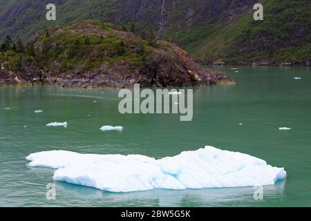 Iceberg in Tracy Arm Fjord, Alaska, Stati Uniti Foto Stock