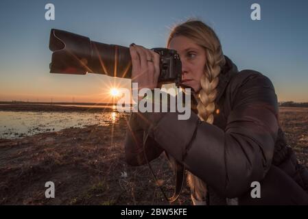 Una fotografa di animali selvatici si è dotata di una fotocamera che scatta foto durante l'ora d'oro mentre il sole tramonta in lontananza. Foto Stock