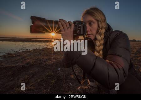 Una fotografa di animali selvatici si è dotata di una fotocamera che scatta foto durante l'ora d'oro mentre il sole tramonta in lontananza. Foto Stock