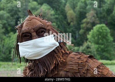 Bigfoot indossare maschera antivirus COVID-19, bordo foresta. Foto Stock