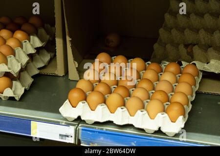 Uova di pollo di medie dimensioni in vassoi di cartone a contrasto Foto Stock