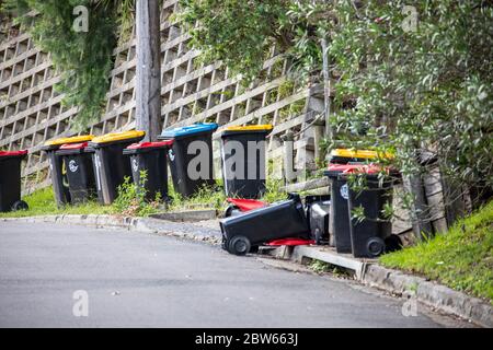 I contenitori a rotelle di Sydney sono destinati al riciclaggio e alla raccolta dei rifiuti Foto Stock