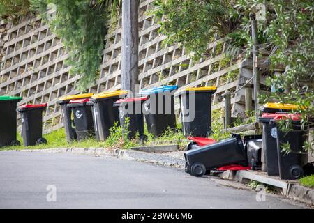 Riciclo domestico Wheelie bidoni su una strada di Sydney dopo essere stato svuotato da council Garbage Collection Service, Australia Foto Stock