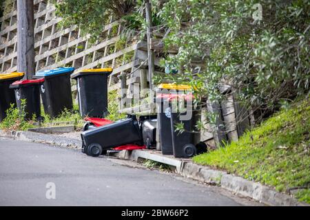 Riciclo domestico Wheelie bidoni su una strada di Sydney dopo essere stato svuotato da council Garbage Collection Service, Australia Foto Stock