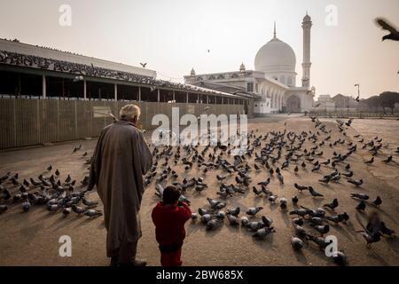 I piccioni volano intorno al famoso santuario di Hazratbal a Srinagar in Kashmir Foto Stock