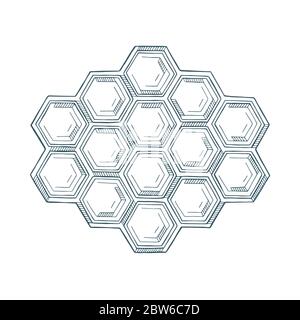 Cellule a nido d'ape. Illustrazione vettoriale disegnata a mano a nido d'ape. Logo a nido d'ape ed elemento di design. Parte del set. Illustrazione Vettoriale