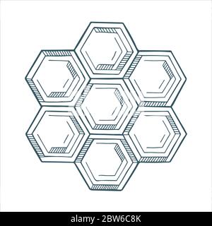 Cellule a nido d'ape. Illustrazione vettoriale disegnata a mano a nido d'ape. Logo a nido d'ape ed elemento di design. Parte del set. Illustrazione Vettoriale