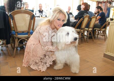 Pamela Anderson guardando la macchina fotografica con il cane, maggio 2016 Foto Stock