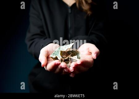 le palme femminili tengono e mostrano le fatture sporche del dollaro sbriciolati Foto Stock